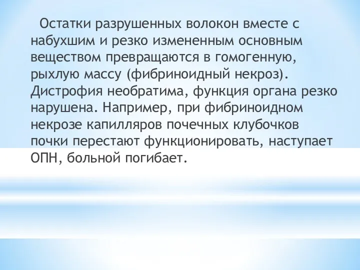 Остатки разрушенных волокон вместе с набухшим и резко измененным основным