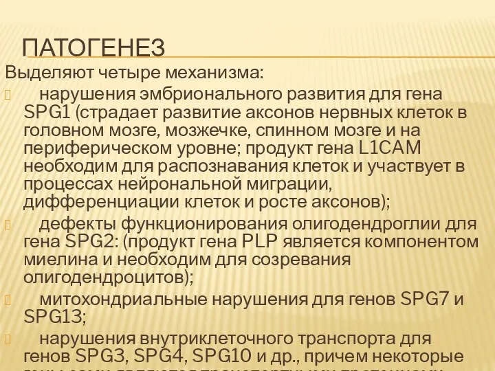 ПАТОГЕНЕЗ Выделяют четыре механизма: нарушения эмбрионального развития для гена SPG1