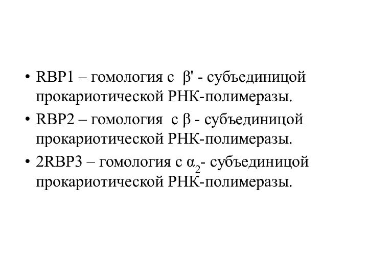 RBP1 – гомология с β' - субъединицой прокариотической РНК-полимеразы. RBP2 – гомология с