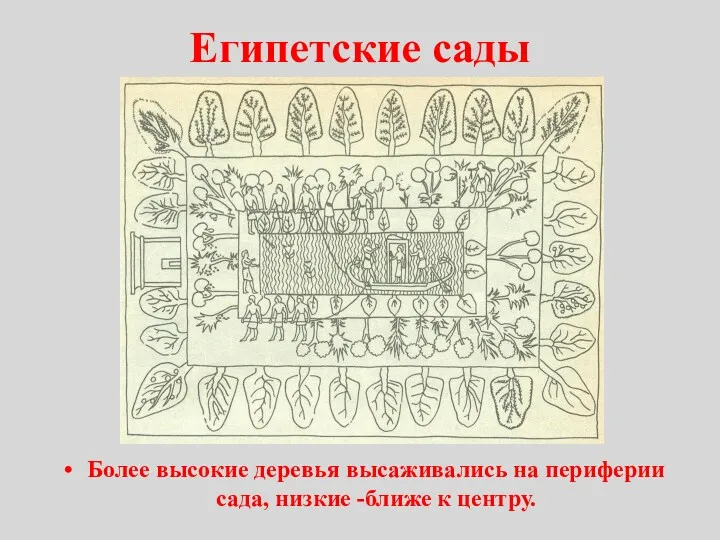 Египетские сады Более высокие деревья высаживались на периферии сада, низкие -ближе к центру.