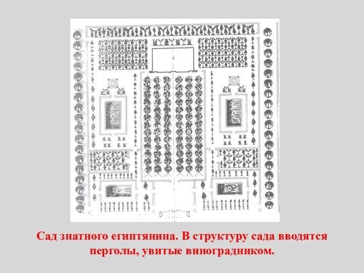 Сад знатного египтянина. В структуру сада вводятся перголы, увитые виноградником.