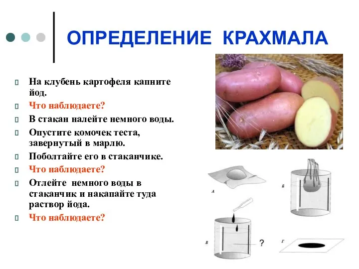 ОПРЕДЕЛЕНИЕ КРАХМАЛА На клубень картофеля капните йод. Что наблюдаете? В