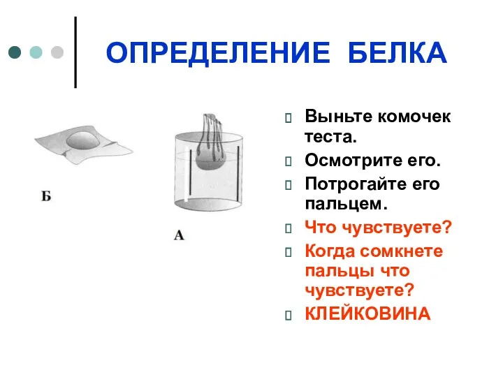 ОПРЕДЕЛЕНИЕ БЕЛКА Выньте комочек теста. Осмотрите его. Потрогайте его пальцем.