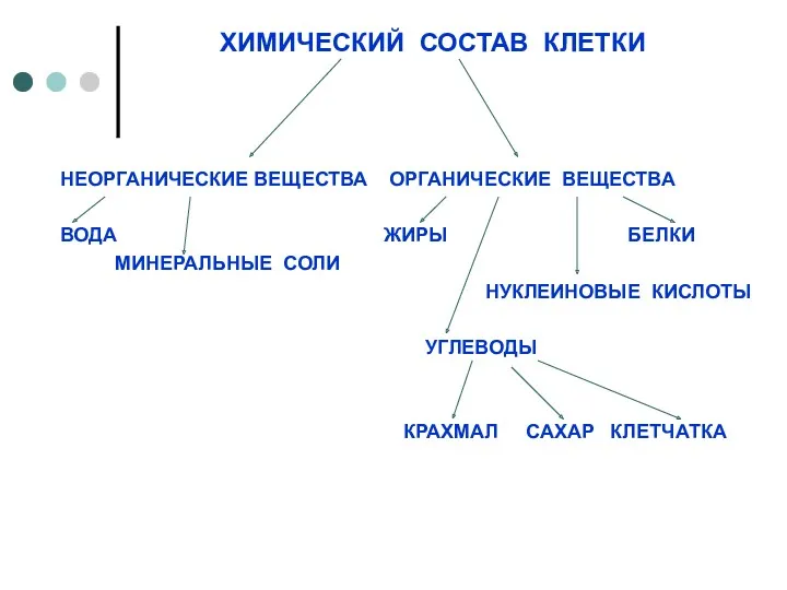 ХИМИЧЕСКИЙ СОСТАВ КЛЕТКИ НЕОРГАНИЧЕСКИЕ ВЕЩЕСТВА ОРГАНИЧЕСКИЕ ВЕЩЕСТВА ВОДА ЖИРЫ БЕЛКИ