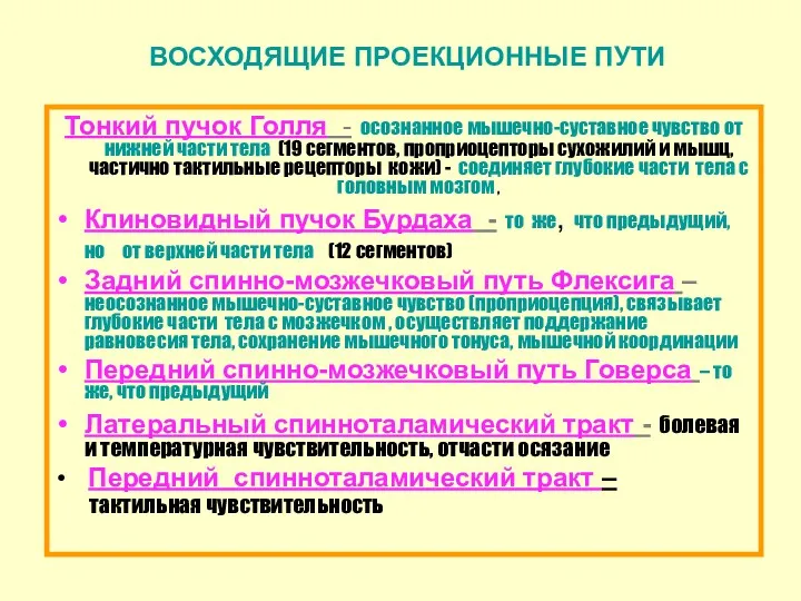 ВОСХОДЯЩИЕ ПРОЕКЦИОННЫЕ ПУТИ Тонкий пучок Голля - осознанное мышечно-суставное чувство