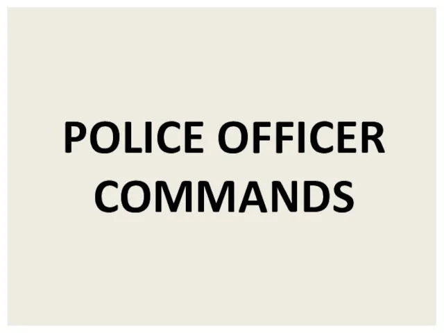 POLICE OFFICER COMMANDS