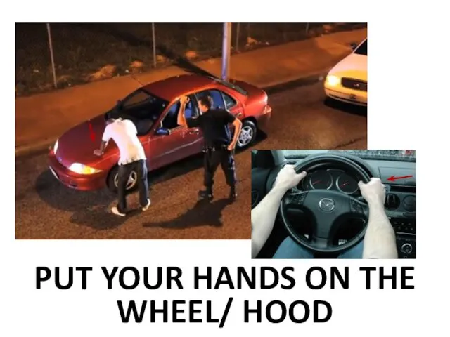 PUT YOUR HANDS ON THE WHEEL/ HOOD