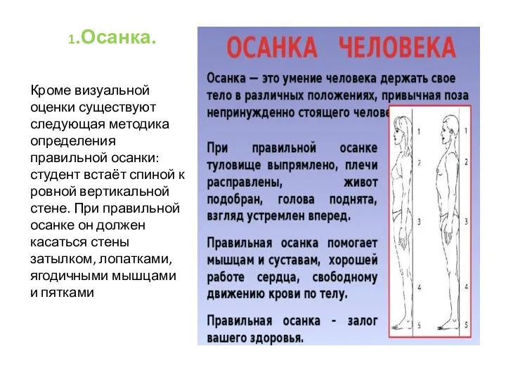 1. Осанка. Кроме визуальной оценки существуют следующая методика определения правильной