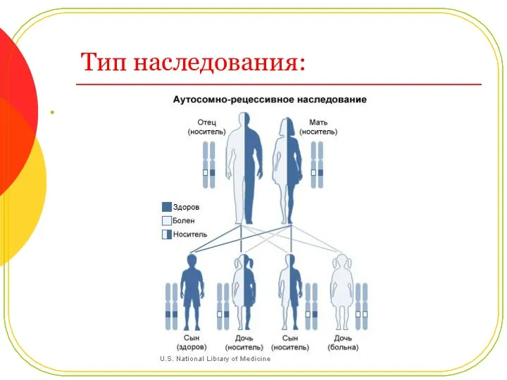 Тип наследования: