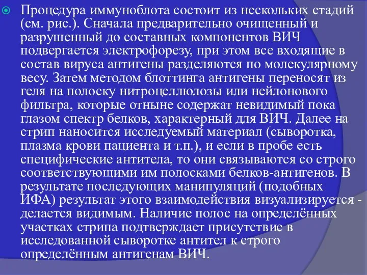 Процедура иммуноблота состоит из нескольких стадий (см. рис.). Сначала предварительно