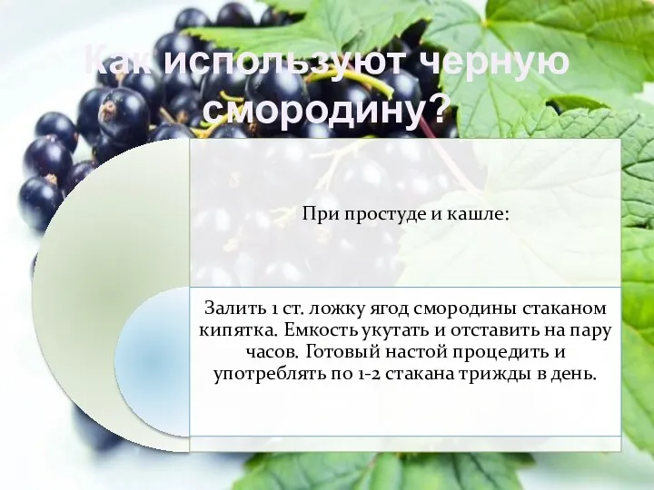 Как используют черную смородину?