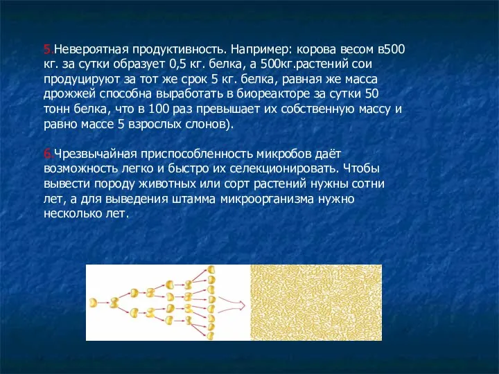 5.Невероятная продуктивность. Например: корова весом в500 кг. за сутки образует