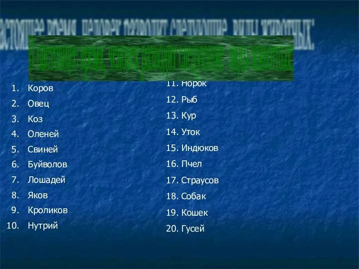 Коров Овец Коз Оленей Свиней Буйволов Лошадей Яков Кроликов Нутрий 11. Норок 12.