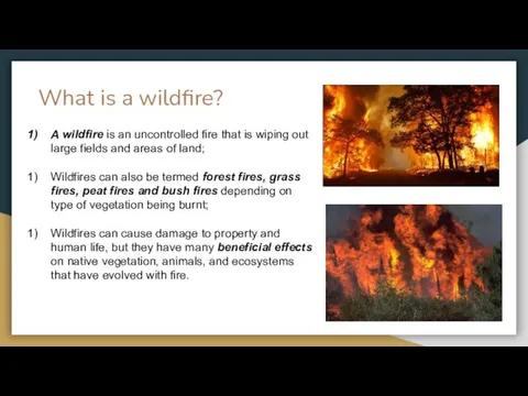 What is a wildfire? A wildfire is an uncontrolled fire