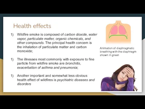 Health effects Animation of diaphragmatic breathing with the diaphragm shown