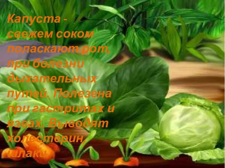 Капуста - свежем соком поласкают рот, при болезни дыхательных путей.