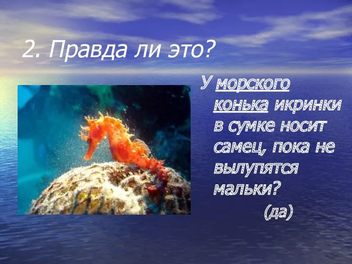 2. Правда ли это? У морского конька икринки в сумке