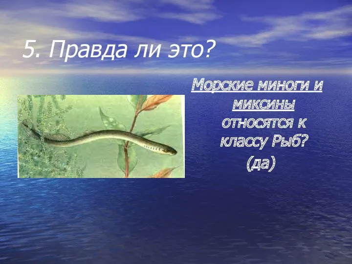 5. Правда ли это? Морские миноги и миксины относятся к классу Рыб? (да)