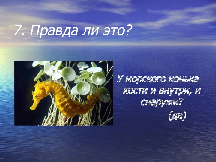 7. Правда ли это? У морского конька кости и внутри, и снаружи? (да)