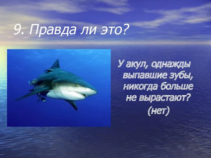 9. Правда ли это? У акул, однажды выпавшие зубы, никогда больше не вырастают? (нет)