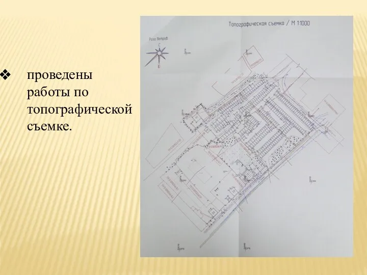 проведены работы по топографической съемке.