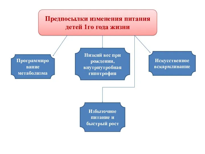 Предпосылки изменения питания детей 1го года жизни Программирование метаболизма Низкий