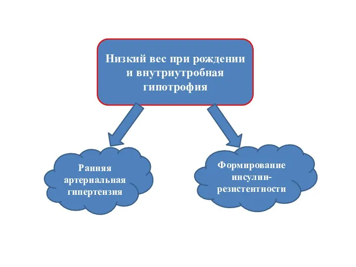 Низкий вес при рождении и внутриутробная гипотрофия Ранняя артериальная гипертензия Формирование инсулин-резистентности