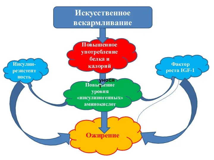 Искусственное вскармливание Инсулин-резистентность Фактор роста IGF-1 Повышенное употребление белка и калорий Повышение уровня