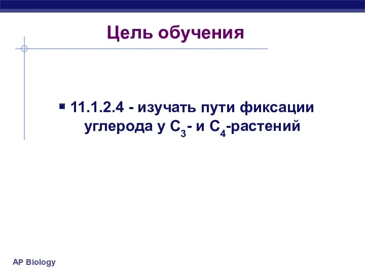 Цель обучения 11.1.2.4 - изучать пути фиксации углерода у С3- и С4-растений