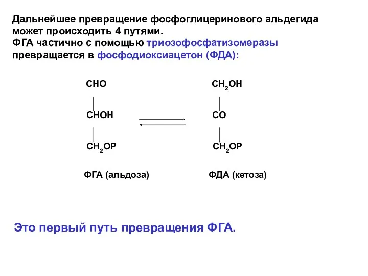 Дальнейшее превращение фосфоглицеринового альдегида может происходить 4 путями. ФГА частично