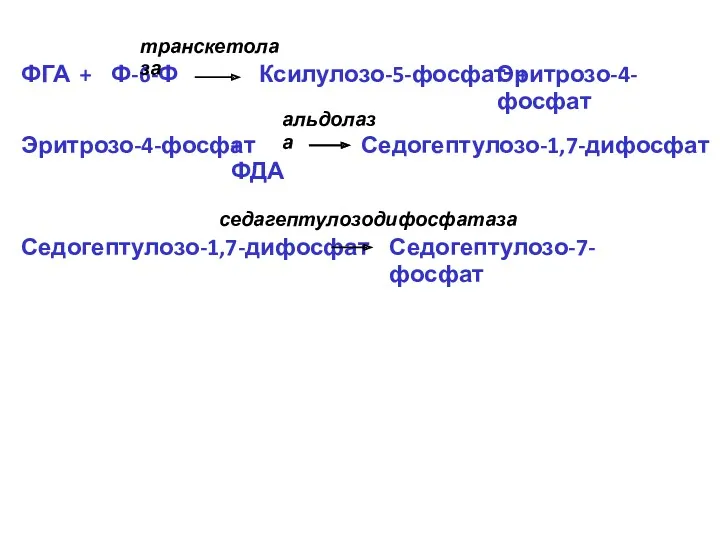 Эритрозо-4-фосфат Седогептулозо-1,7-дифосфат транскетолаза альдолаза