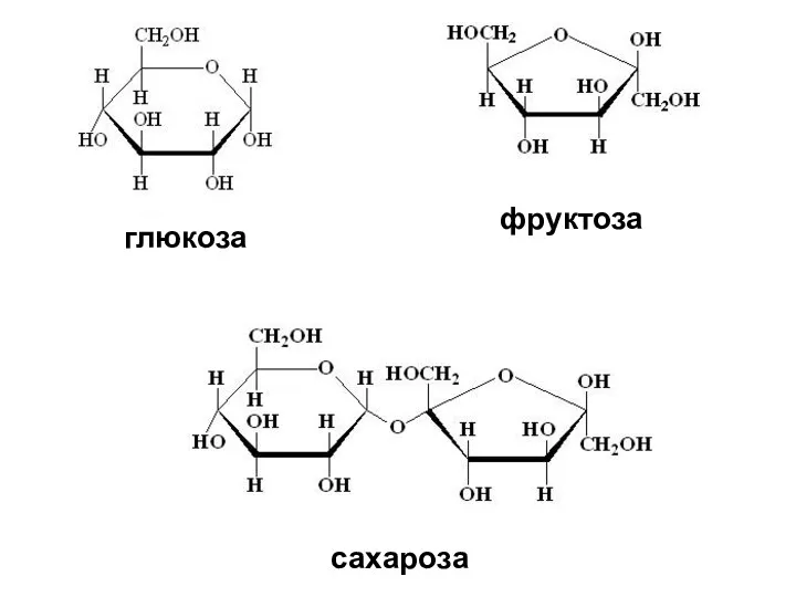 сахароза глюкоза фруктоза