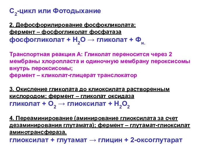 С2-цикл или Фотодыхание 2. Дефосфорилирование фосфокликолата; фермент – фосфогликолат фосфатаза