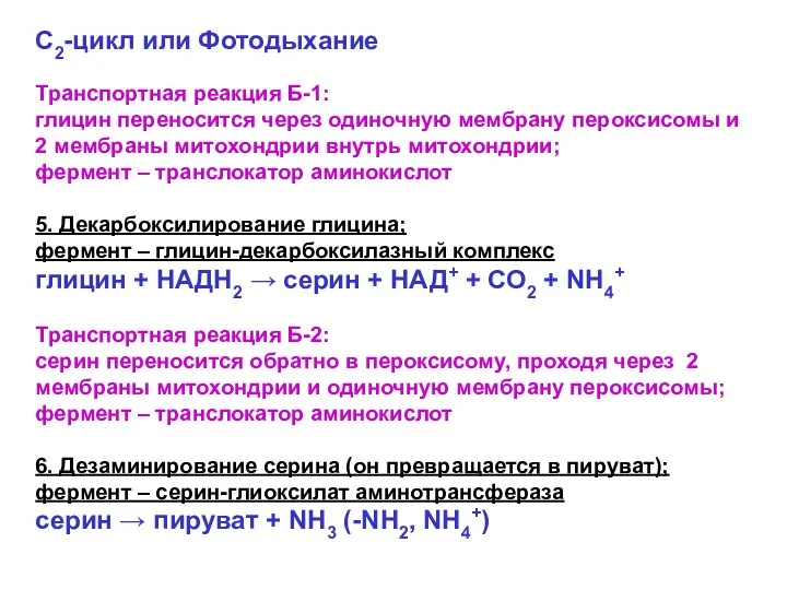 С2-цикл или Фотодыхание Транспортная реакция Б-1: глицин переносится через одиночную