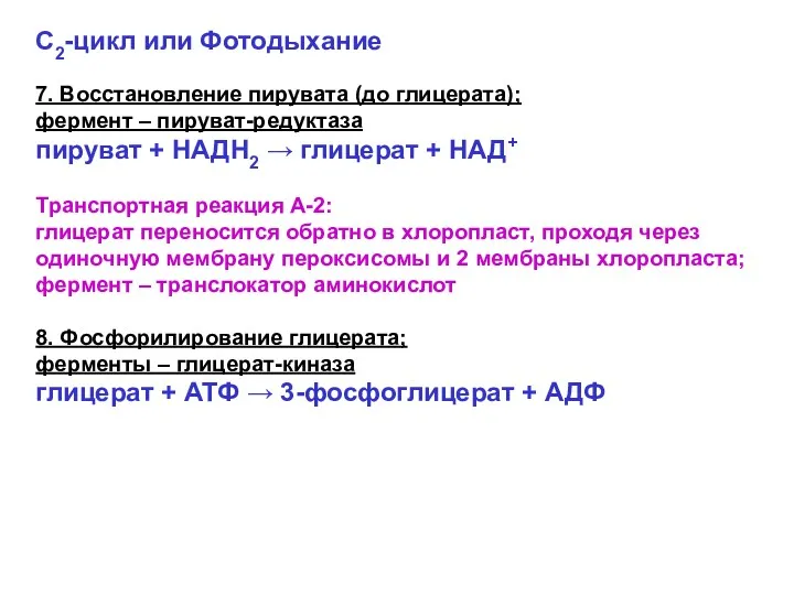 С2-цикл или Фотодыхание 7. Восстановление пирувата (до глицерата); фермент –