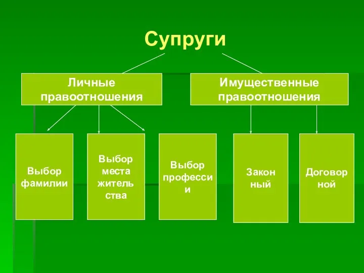 Супруги Личные правоотношения Имущественные правоотношения Выбор фамилии Выбор места житель