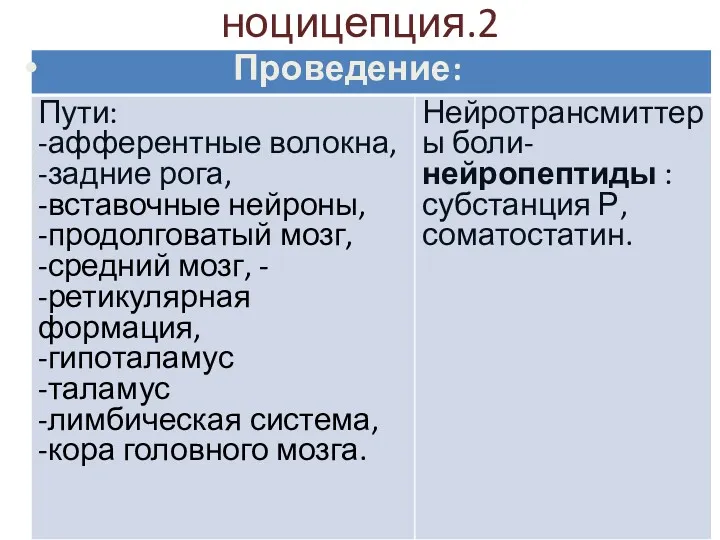 ноцицепция.2