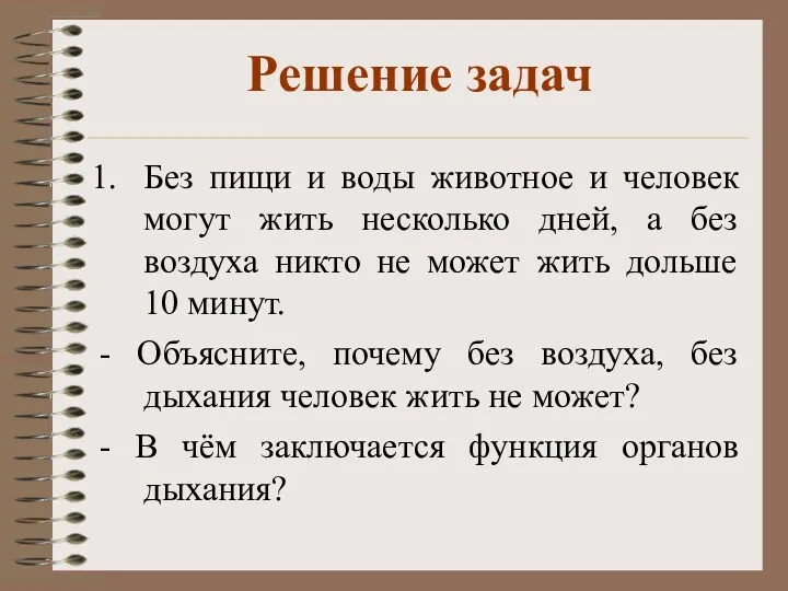 Решение задач Без пищи и воды животное и человек могут