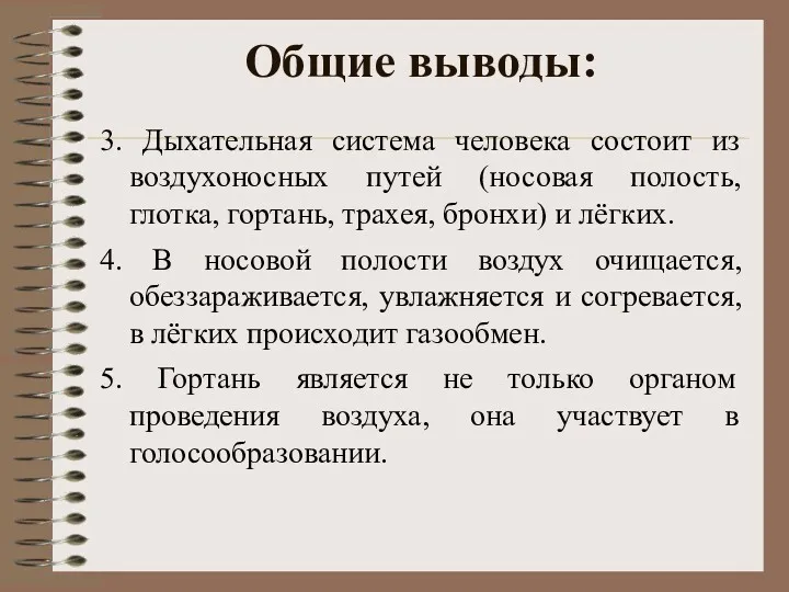 Общие выводы: 3. Дыхательная система человека состоит из воздухоносных путей