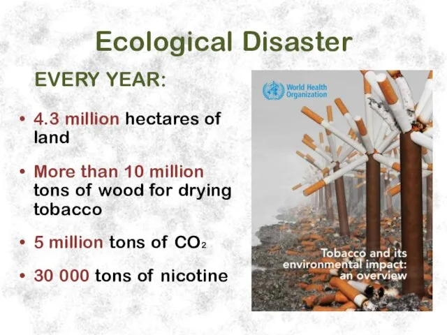 Ecological Disaster 4.3 million hectares of land More than 10 million tons of