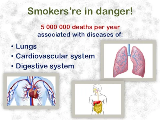 Smokers’re in danger! Lungs Cardiovascular system Digestive system 5 000 000 deaths per