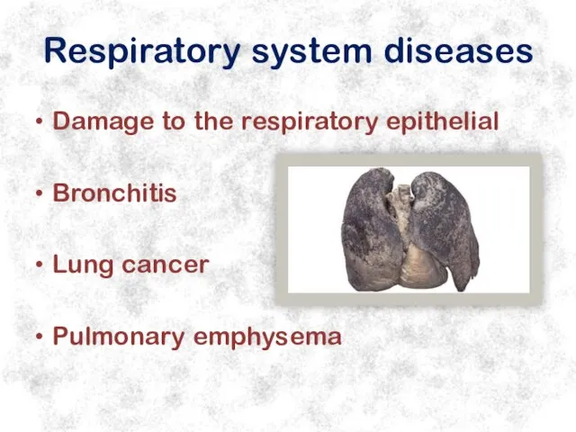 Respiratory system diseases Damage to the respiratory epithelial Bronchitis Lung cancer Pulmonary emphysema