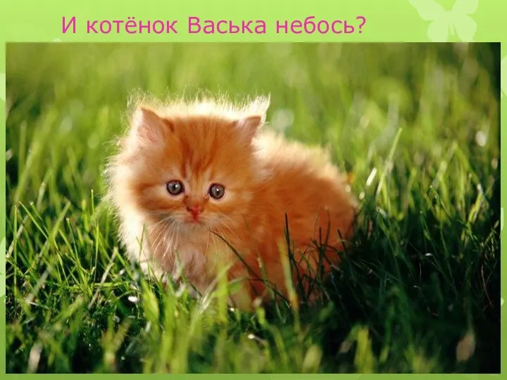 И котёнок Васька небось?