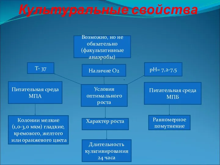 Культуральные свойства Т- 37 Наличие О2 рH= 7,2-7,5 Характер роста