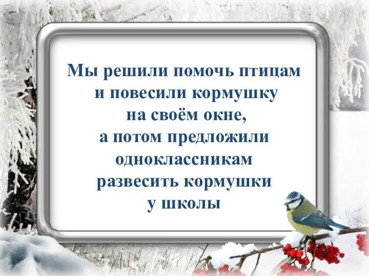 Мы решили помочь птицам и повесили кормушку на своём окне,