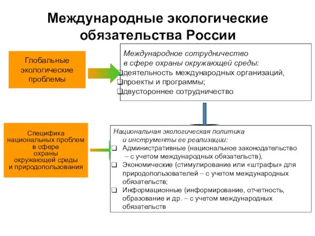 Международные экологические обязательства России Глобальные экологические проблемы Международное сотрудничество в сфере охраны окружающей