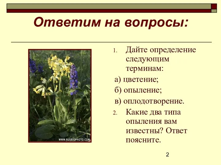 Ответим на вопросы: Дайте определение следующим терминам: а) цветение; б)