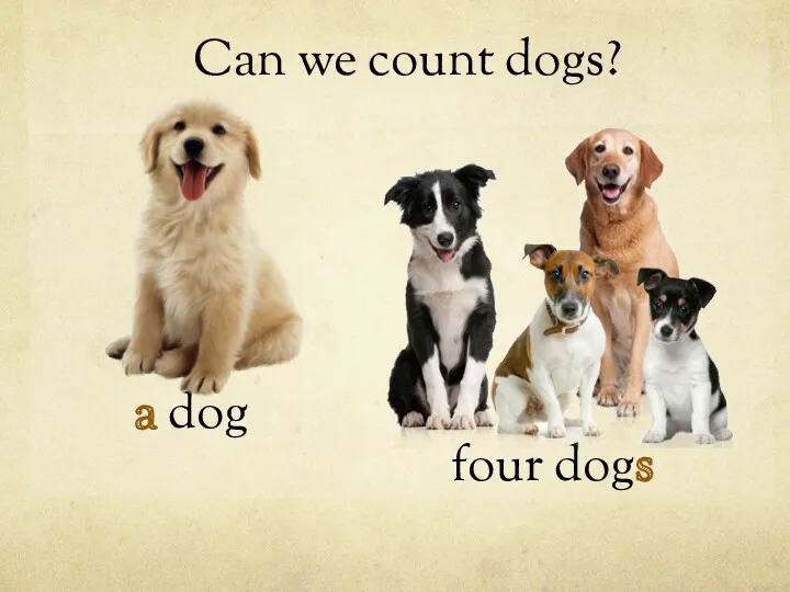 a dog Can we count dogs? four dogs