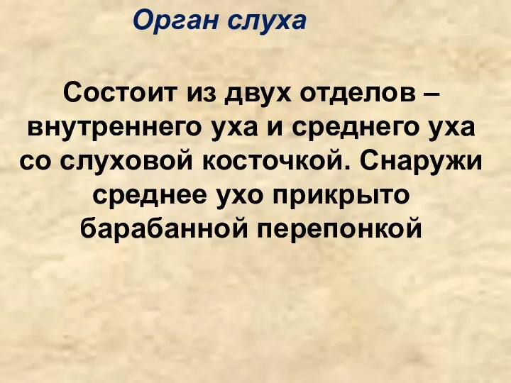 Орган слуха Состоит из двух отделов – внутреннего уха и