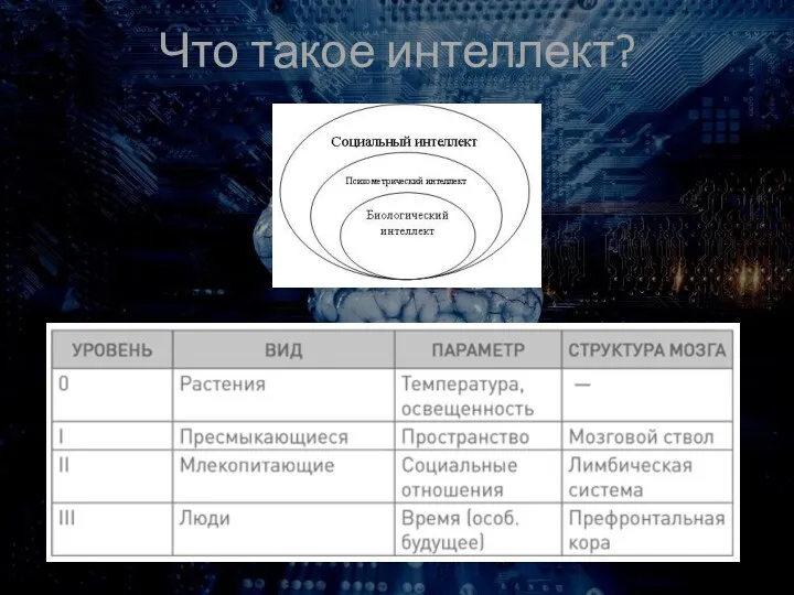 Что такое интеллект?